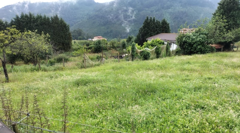 Asturias - Murias - 1792m2