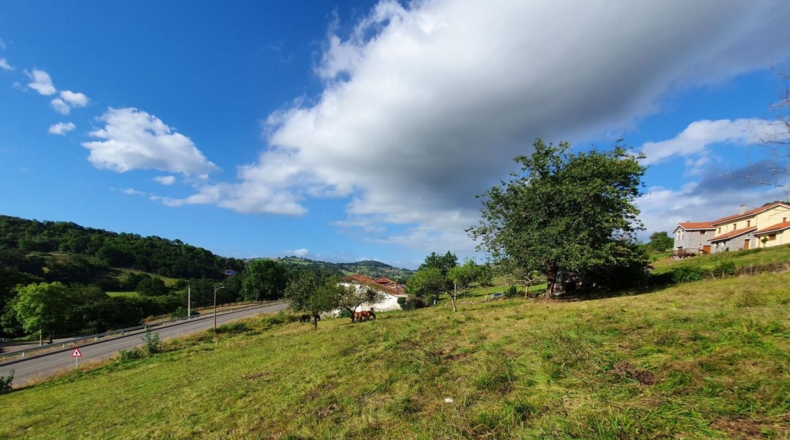 Asturias - Bustiellu - 5255m2