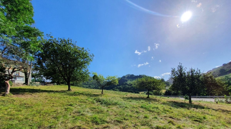 Asturias - Bustiellu - 5200m2