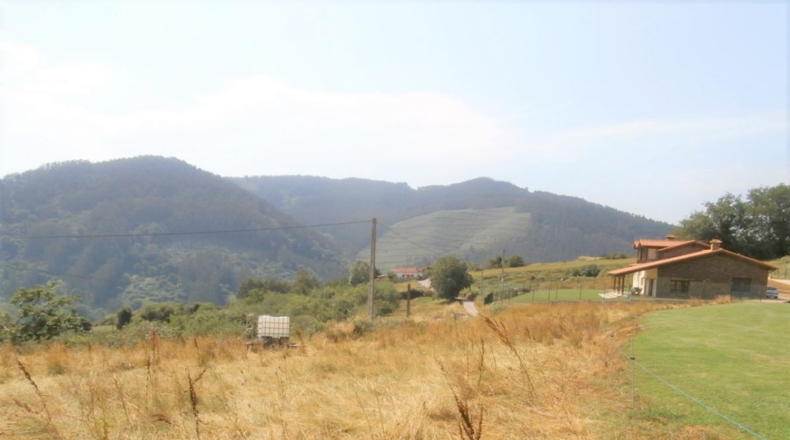 Astúries - Entre los rios - 2090m2