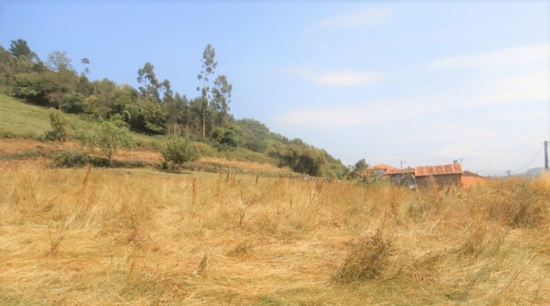 Astúries - Entre los rios - 2090m2