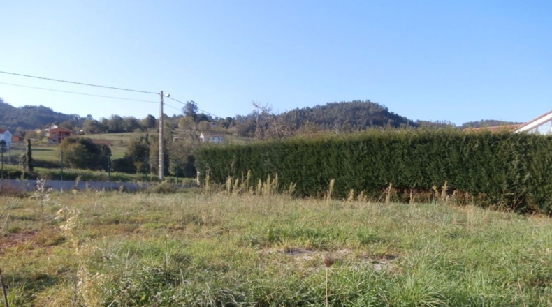 Asturias - San Pelayo - 482m2