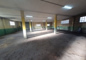 Industrial warehouse for rent in Grado ref: TR276772 photo