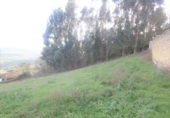 Sòl urbà en venda a Grado ref.: TR106399 foto