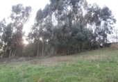 Sòl urbà en venda a Grado ref.: TR106399 foto