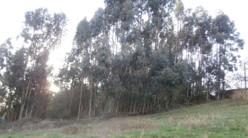 Astúries - Llabayos - 2213m2
