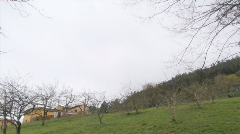 Asturias - Candamo - 900m2