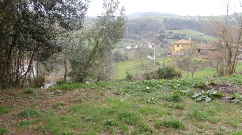 Asturias - Candamo - 900m2