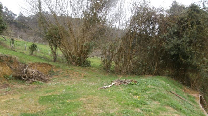 Asturias - Candamo - 900m2