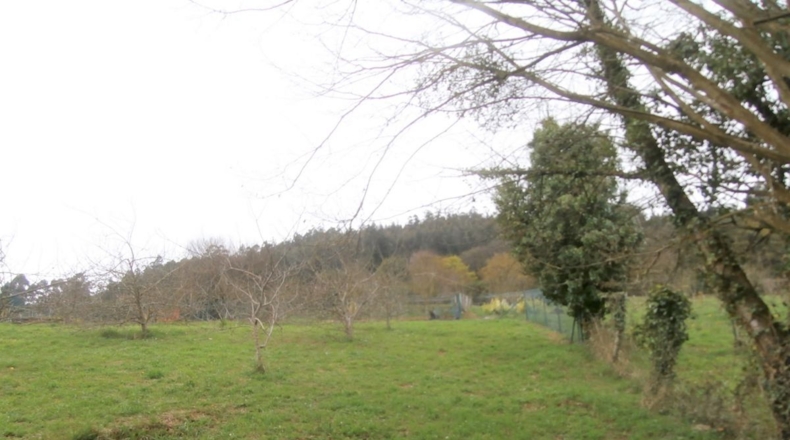 Asturias - Candamo - 900m2