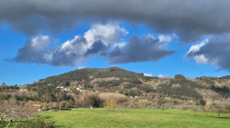 Asturias - Grado - 1660m2