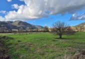 Non-developable land for sale in Grado ref: TR274524 photo