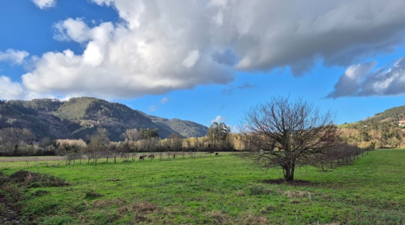 Asturias - Grado - 1660m2