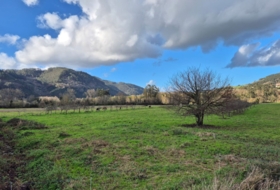 Grado 1580&nbsp;m² 