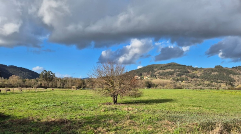 Asturias - Grado - 1580m2