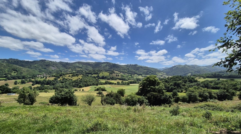 Asturias - Grado - 7032m2