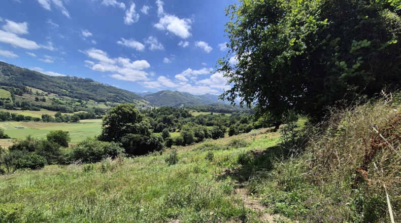 Asturias - Grado - 7032m2
