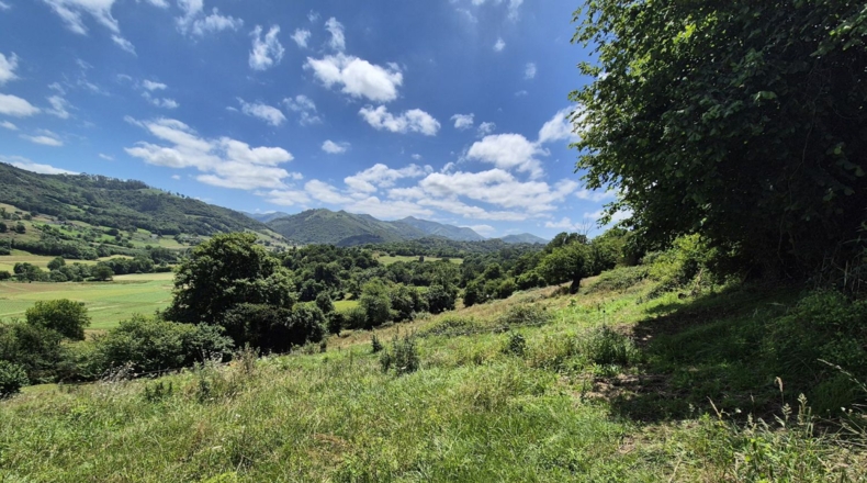 Asturias - Grado - 7032m2