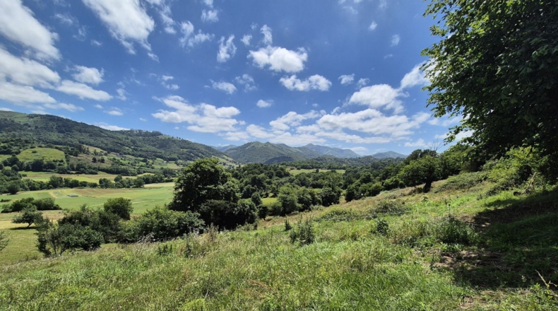 Asturias - Grado - 7032m2