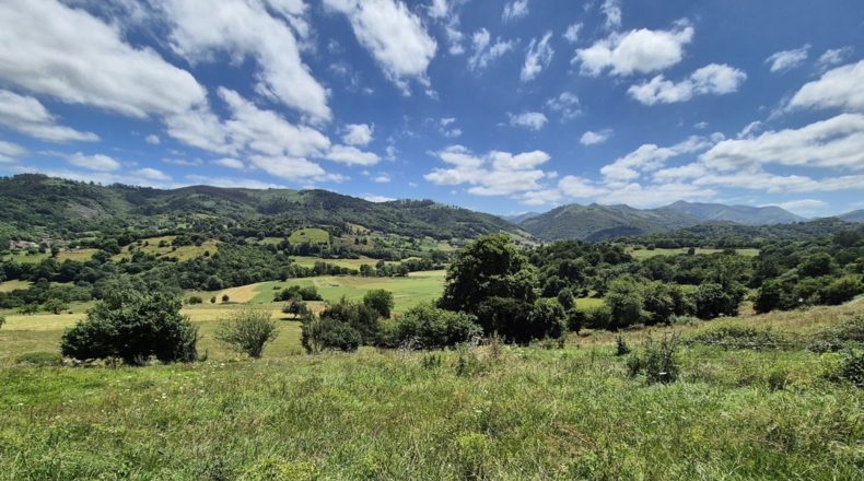 Asturias - Grado - 7032m2