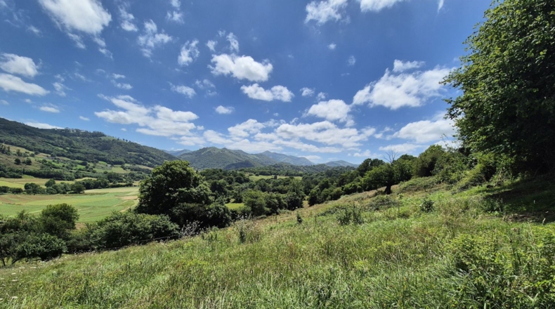 Asturias - Grado - 7032m2