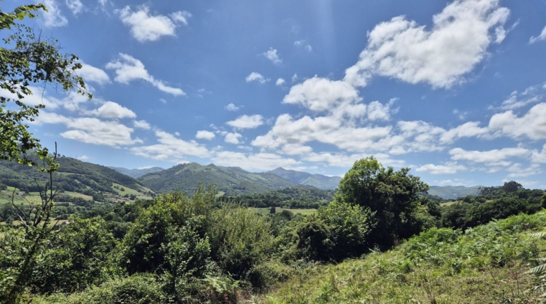 Asturias - Grado - 7032m2