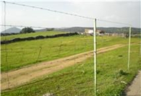 El Real de la Jara 13500&nbsp;m²