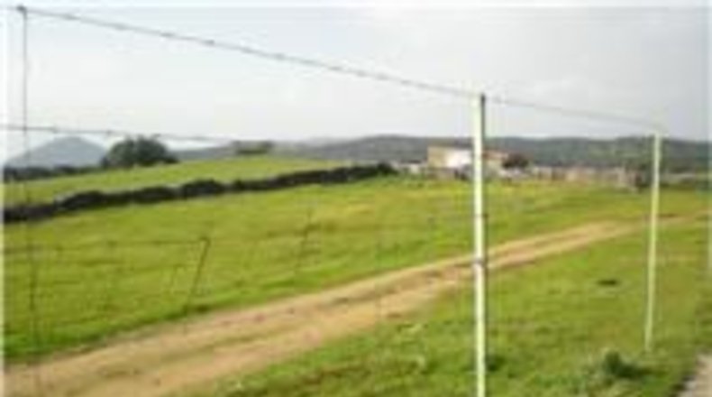 Sevilla - El Real de la Jara - 13500m2