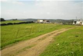 El Real de la Jara 13500&nbsp;m²
