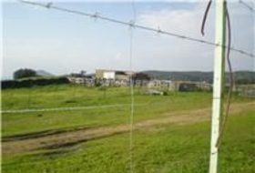 El Real de la Jara 13500&nbsp;m²