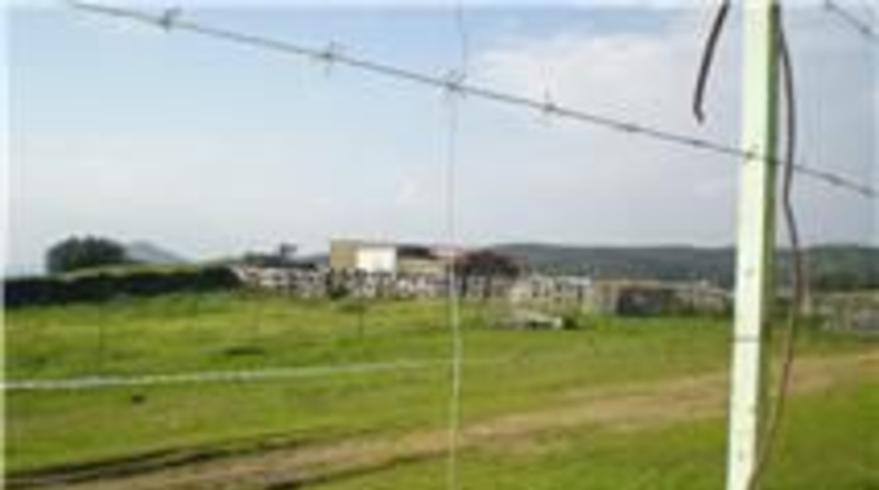 Sevilla - El Real de la Jara - 13500m2