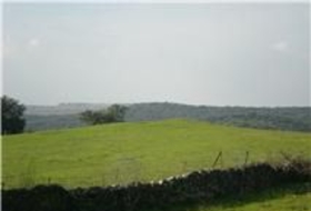 El Real de la Jara 13500&nbsp;m²