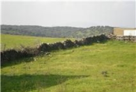 El Real de la Jara 13500&nbsp;m²