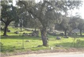 El Real de la Jara 13500&nbsp;m²
