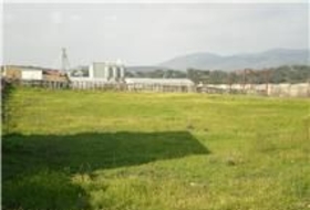 El Real de la Jara 13500&nbsp;m²