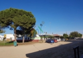 Xalet independent amb terreny en venda a El Rocío ref.: TR25831 foto
