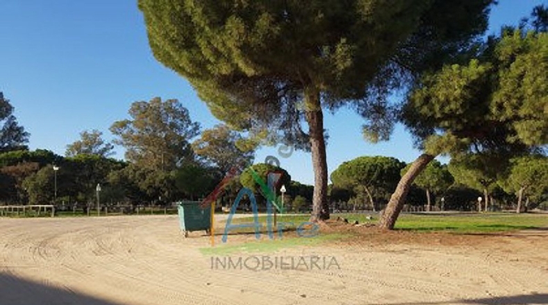 Huelva - Almonte - 1350m2