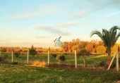 Non-developable land for sale in Almonte ref: TR99299 photo