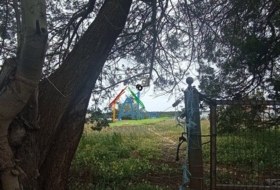 Almonte 5500&nbsp;m²