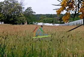 Almonte 5500&nbsp;m²
