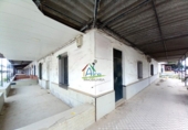 Village house for sale in El Rocío ref: TR105754 photo