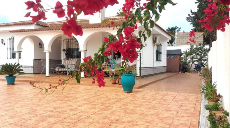 Huelva - Almonte - 557m2