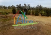 Finca rústica en venta en Almonte ref: TR261056 foto
