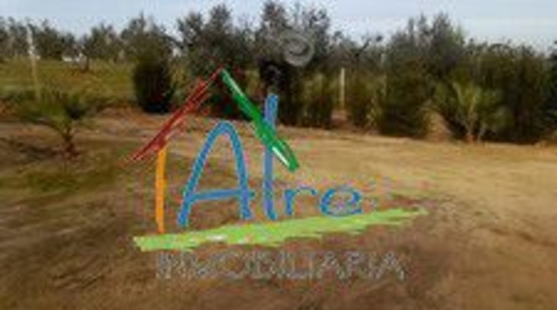 Huelva - Almonte - 2000m2
