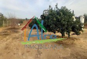 Almonte 2000&nbsp;м²