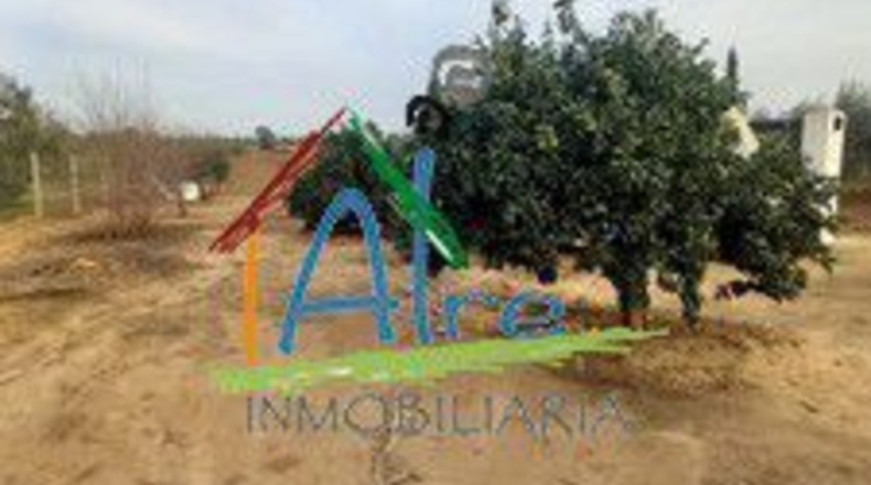 Huelva - Almonte - 2000m2