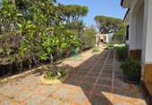 Detached villa with land for sale in Matalascañas ref: TR390813 photo
