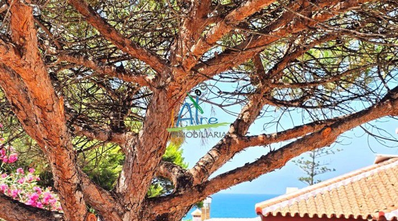 Huelva - Matalascañas - 354m2