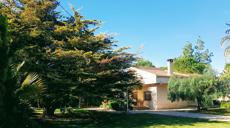 Alicante - Albatera - 2200m2