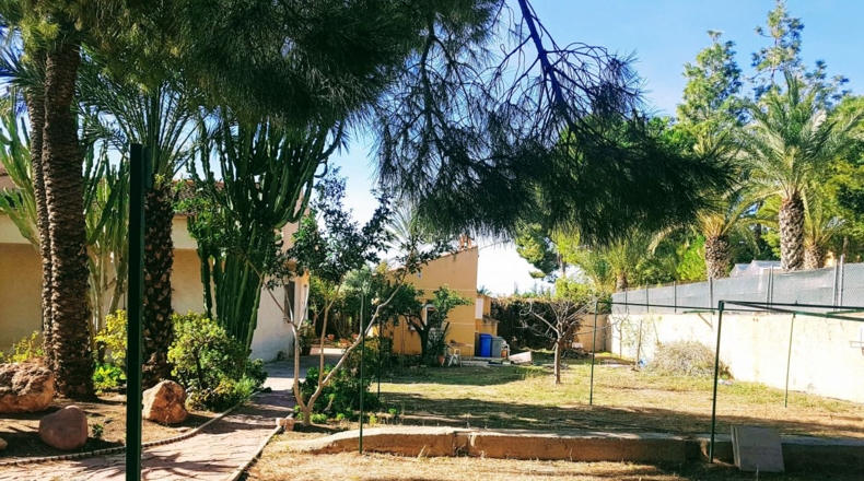 Alicante - Albatera - 2200m2